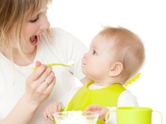 When to introduce cottage cheese in prikorm child?