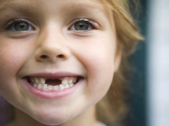 What teeth do children have?