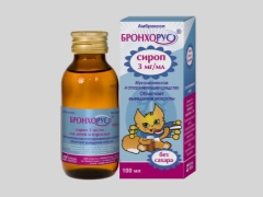 Bronhorus syrup for children: instructions for use