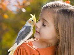 What is animal therapy and what is its use for children?