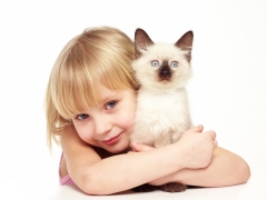 What is felinotherapy, its benefits for children