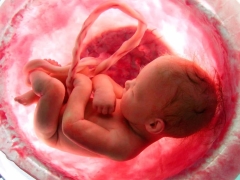 How and what does a baby breathe in the womb?