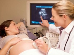 Ultrasound in the 13th week of pregnancy: fetal size and other features