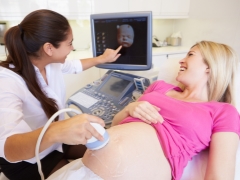 Ultrasound in the 16th week of pregnancy: fetal size and other features