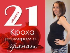 21 weeks of pregnancy: what happens to the fetus and the expectant mother?