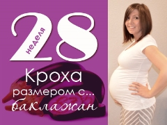 28 week of pregnancy: what happens to the fetus and the expectant mother?