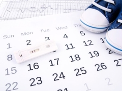 Ovulation calendar for conception: calculator of the most appropriate days