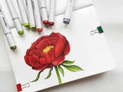 Features professional markers for drawing