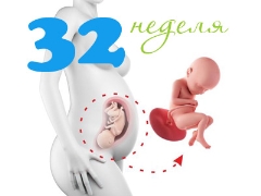 Weight and other parameters of the fetus at 32 weeks gestation