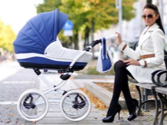 Fashionable strollers: how to choose a stylish and practical model?