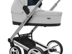 How to choose the best Mutsy stroller?