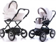 Strollers Navington: a description of the models, the pros and cons, tips on choosing