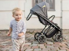 Noordi strollers: characteristics, range overview and tips for choosing