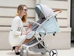 Teknum strollers: types and their features