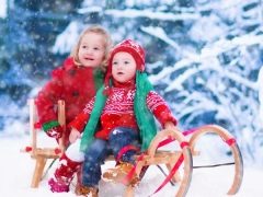 How to choose a sleigh for twins?