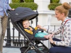 Joie strollers: range and tips for choosing