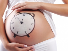 How many weeks does the pregnancy last and what does it depend on?