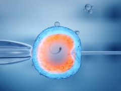 If you decide on IVF: how to improve the quality of eggs and increase the chances of conception?