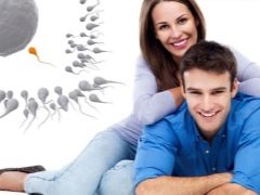 Fertility: all about the fertile function of women and men