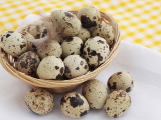 Quail eggs