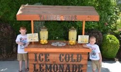 Business from the cradle: American children traded lemonade and saved up for an apartment