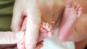 Neonatal screening of newborns - genetic analysis of blood from the heel