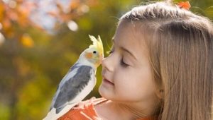 What is animal therapy and what is its use for children?