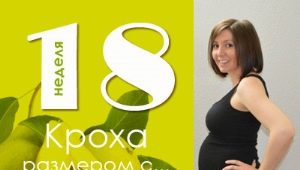 18 week of pregnancy: what happens to the fetus and the expectant mother?