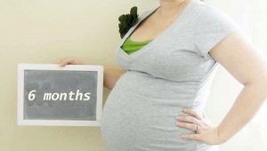 Sixth month of pregnancy