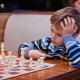 How to choose a chess for a child?