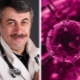 Dr. Komarovsky about cytomegalovirus infection