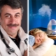 Dr. Komarovsky on how to choose a humidifier