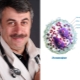 Dr. Komarovsky about eosinophils