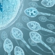 What is sperm morphology, what standards exist and how to improve performance?