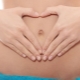 2 weeks of pregnancy: embryo development, sensation and discharge from the expectant mother