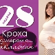 28 week of pregnancy: what happens to the fetus and the expectant mother?