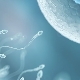 How does sperm motility affect conception success?