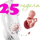 Fetal development in the 25th week of pregnancy