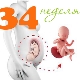 Fetal development at 34 weeks gestation