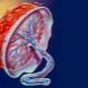 Placental maturity by week: degrees and rates