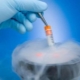 What is embryo cryopreservation and why is it needed?