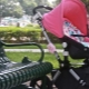 How to choose a lock for a stroller?