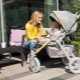 What companies strollers worth paying attention to?