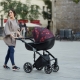 Anex strollers: types and selection tips