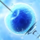 IVF short protocol by day: scheme and description