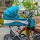 Lonex strollers: model features and tips for choosing