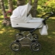 Roan Strollers: Popular Models and Tips for Choosing