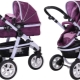 Sweet Baby Strollers: Popular Models and Tips for Choosing