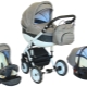 Verdi strollers: model features and tips for choosing