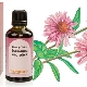 Echinacea tincture for children: instructions for use